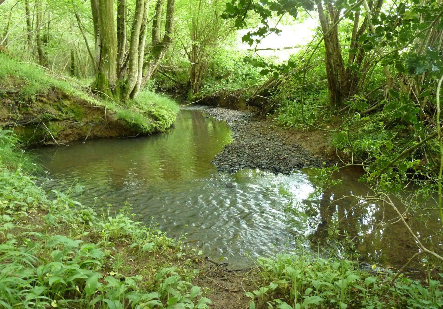Using herbicides near streams and rivers